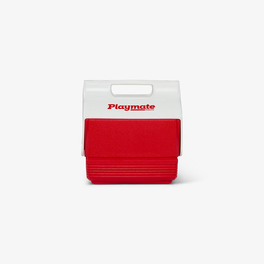 playmate-mini-4-qt-cooler-f5 00005562-F.jpg
