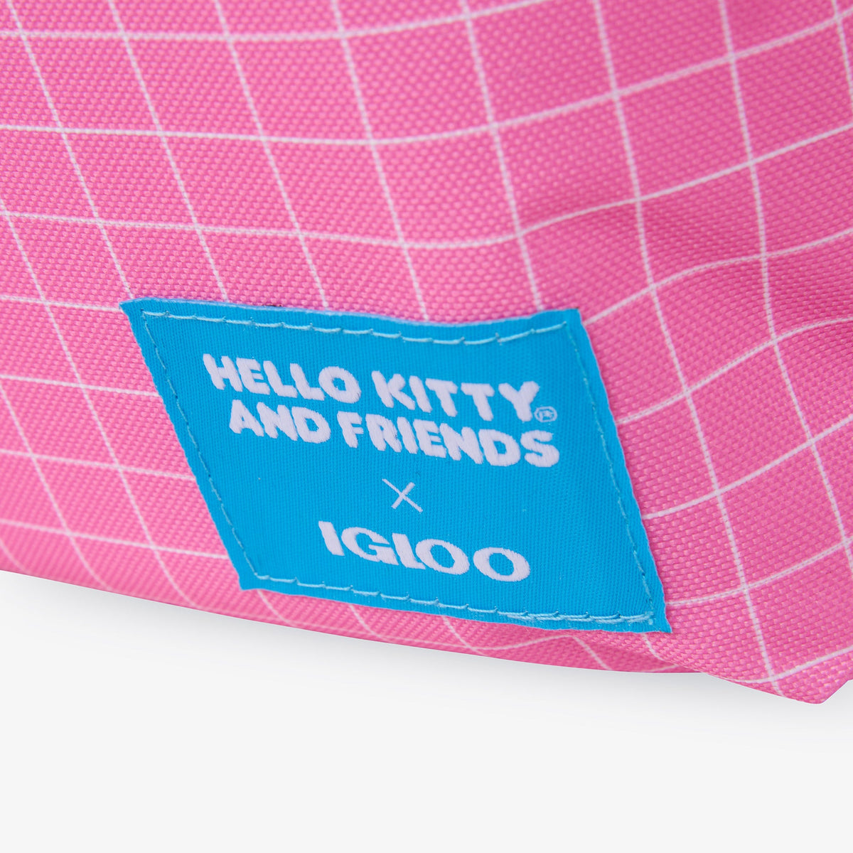 hello-kitty-and-friends-bff-mini-convertible-backpack-cooler-p6 00027591-L.jpg