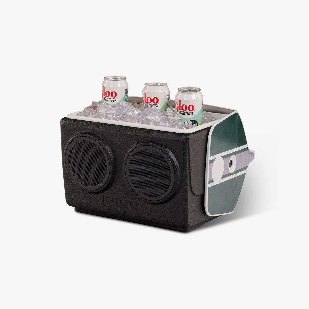 michigan-state-university-kooltunes-r3 00027730-P1.jpg