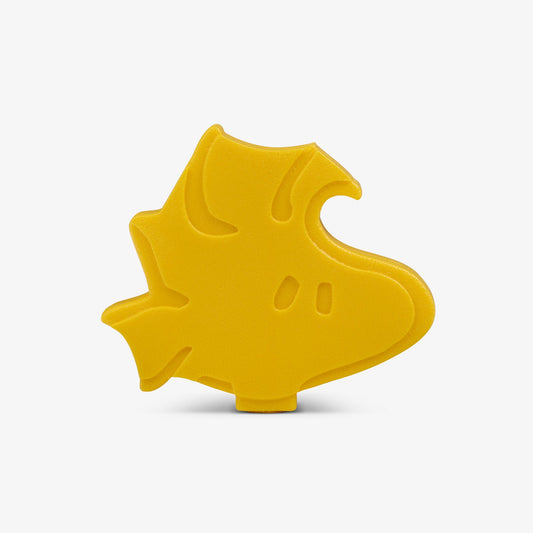 woodstock-ice-block-2-pack-c9 00027950-F.jpg
