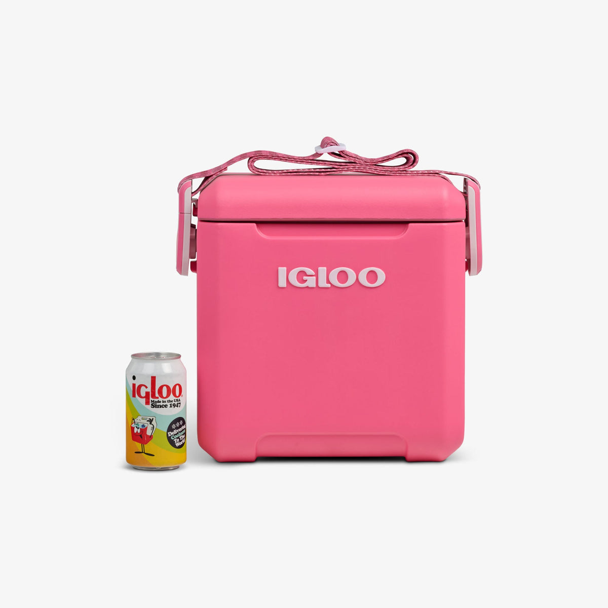 tag-along-too-remix-cooler-w1 00033199-P_861a5cd2-f15c-4217-a471-e33cc3890d9e.jpg