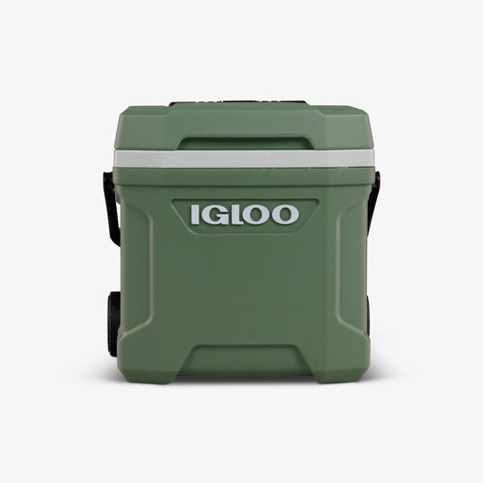 ecocool-latitude-16-qt-cooler-d1 00034894-F.jpg