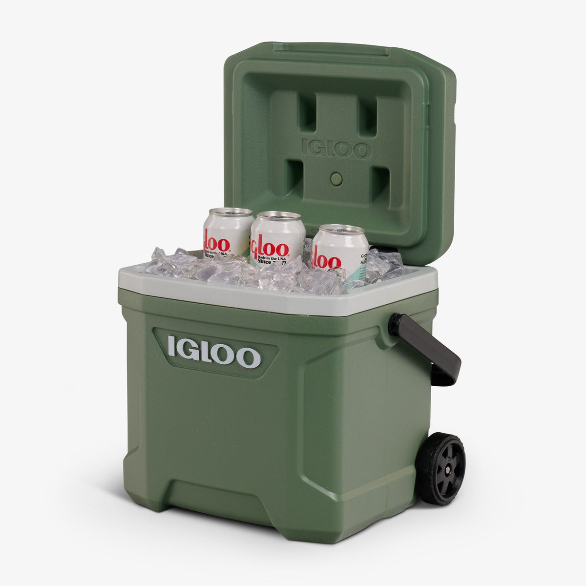 ecocool-latitude-16-qt-cooler-d1 00034894-P1.jpg