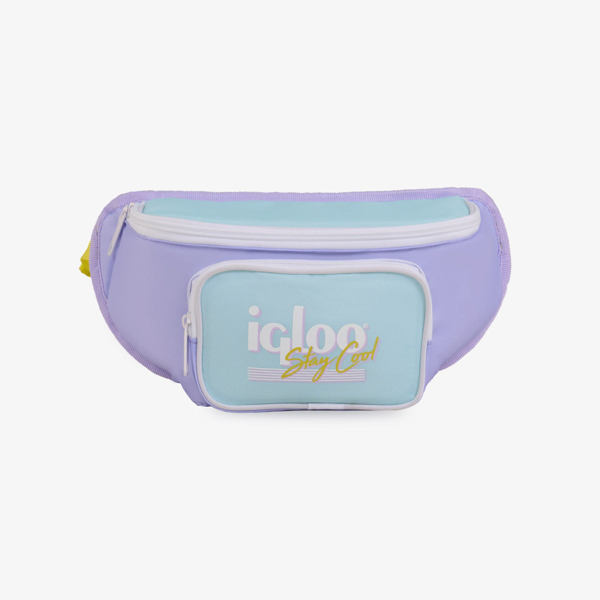 retro-fanny-pack-p2 00063078-F.jpg
