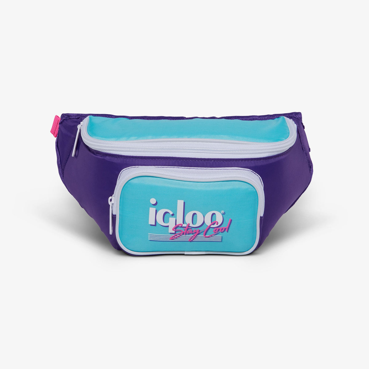 retro-fanny-pack-p2 00066056-F.jpg