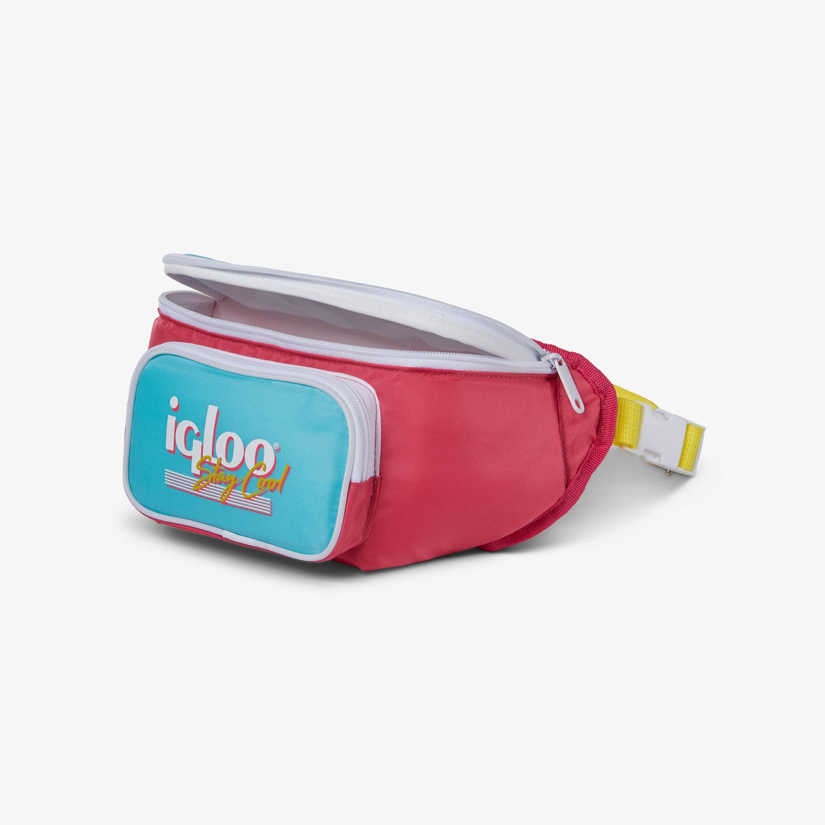retro-fanny-pack-p2 00066058-O1.jpg