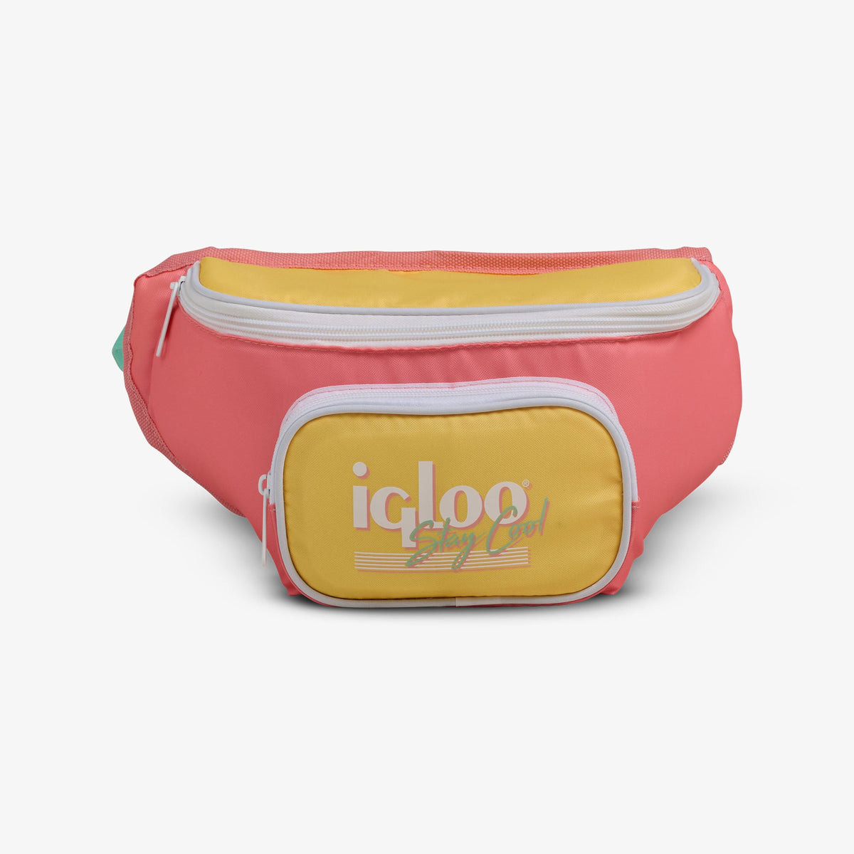 retro-fanny-pack-p2 00066660-F.jpg