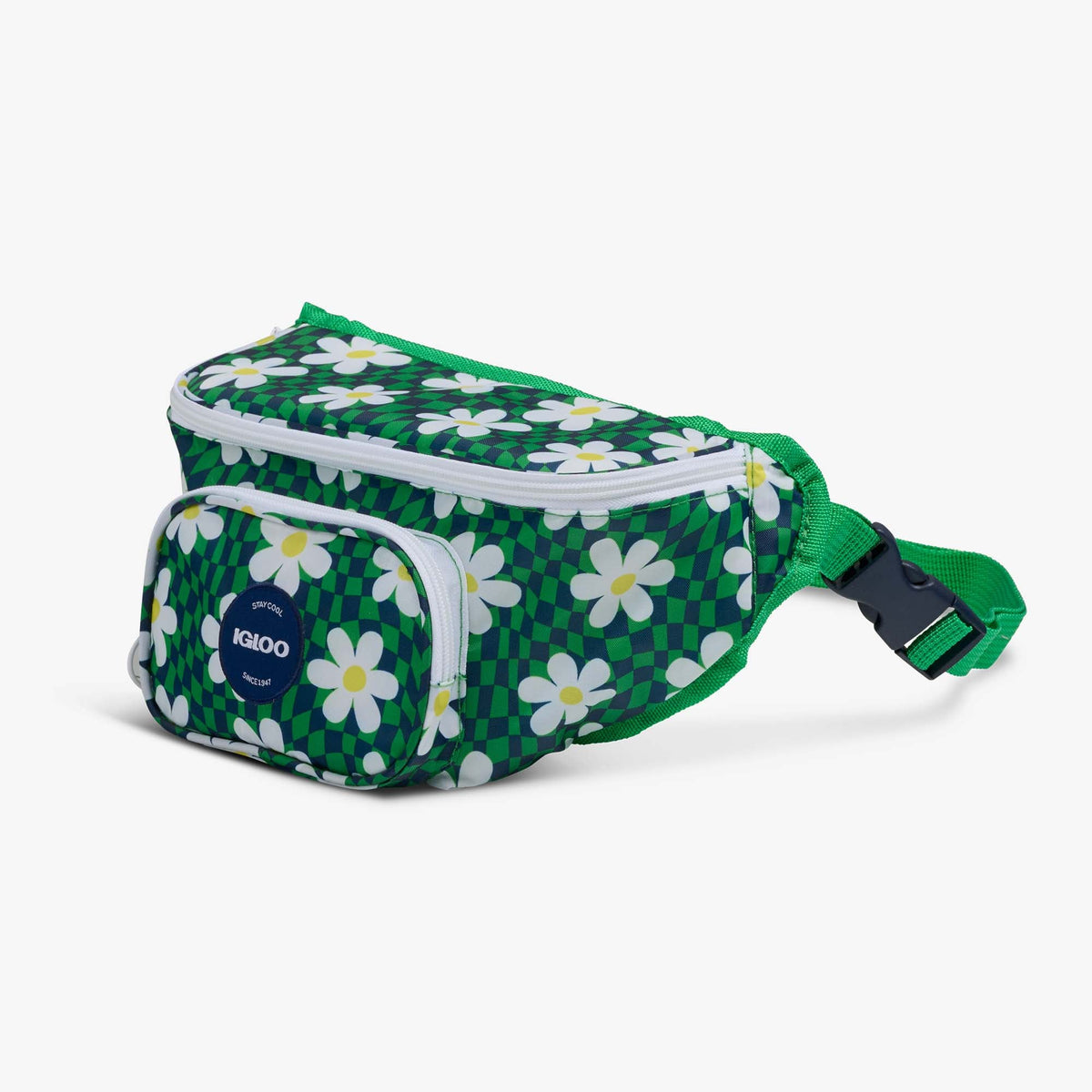 retro-fanny-pack-p2 00067206-H1.jpg