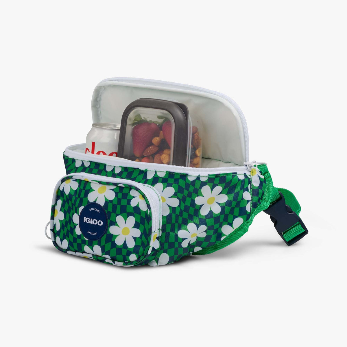 retro-fanny-pack-p2 00067206-P1.jpg